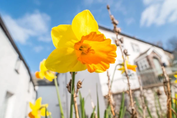 Image for article titled Easter Opening Hours